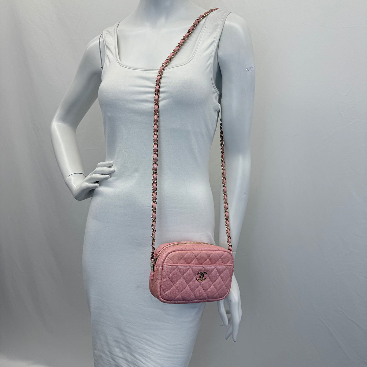 Chanel Iridescent Camera Bag