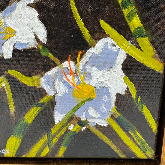 "White Stargazer Lily" Painting Signed