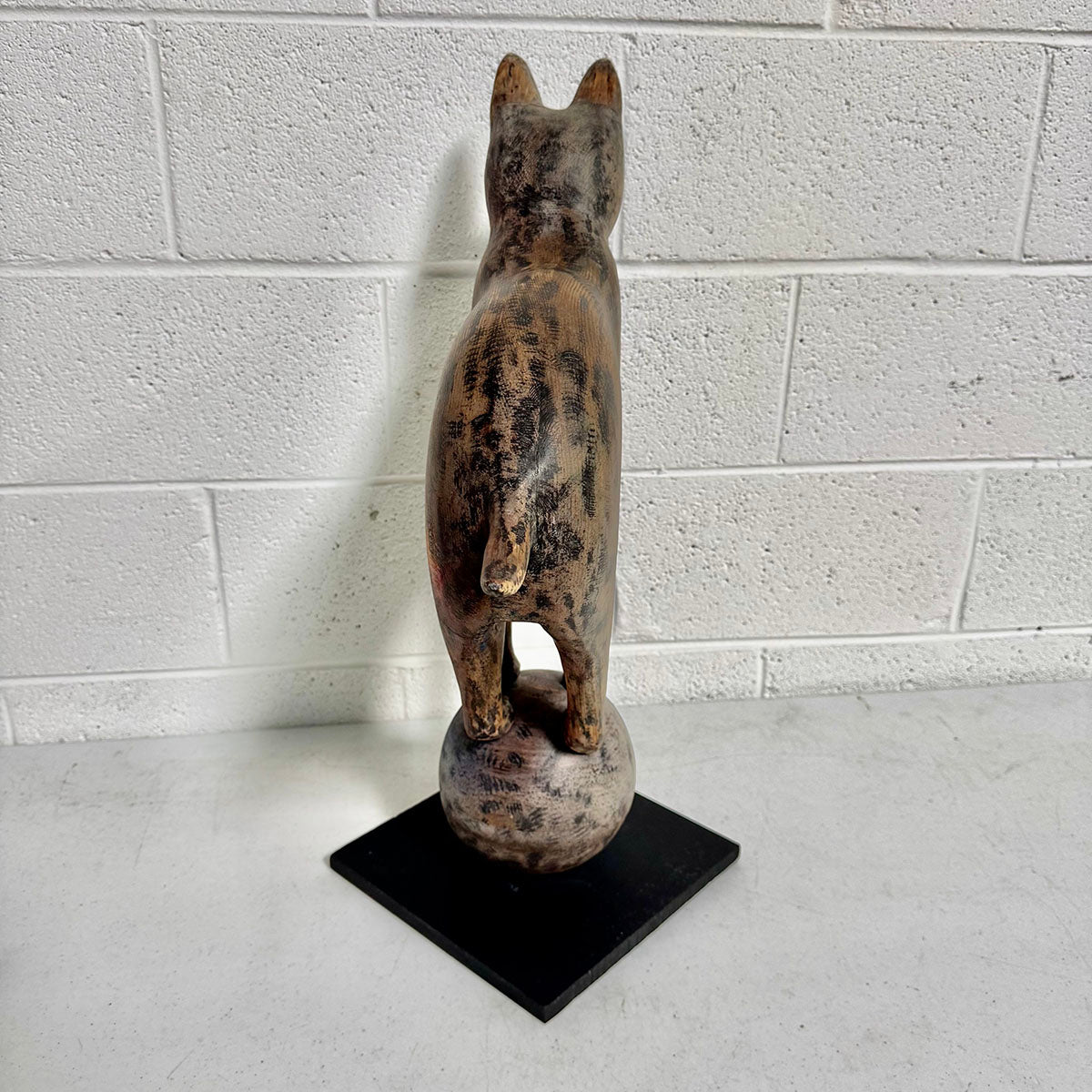 "Fox Balanced on a Ball"