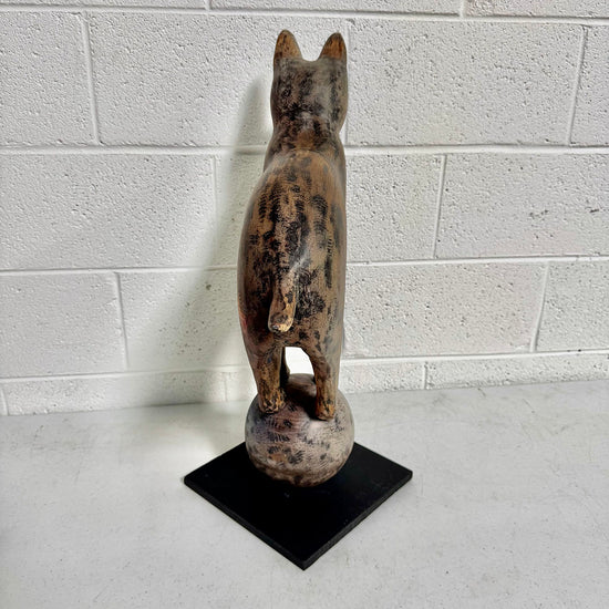 "Fox Balanced on a Ball"