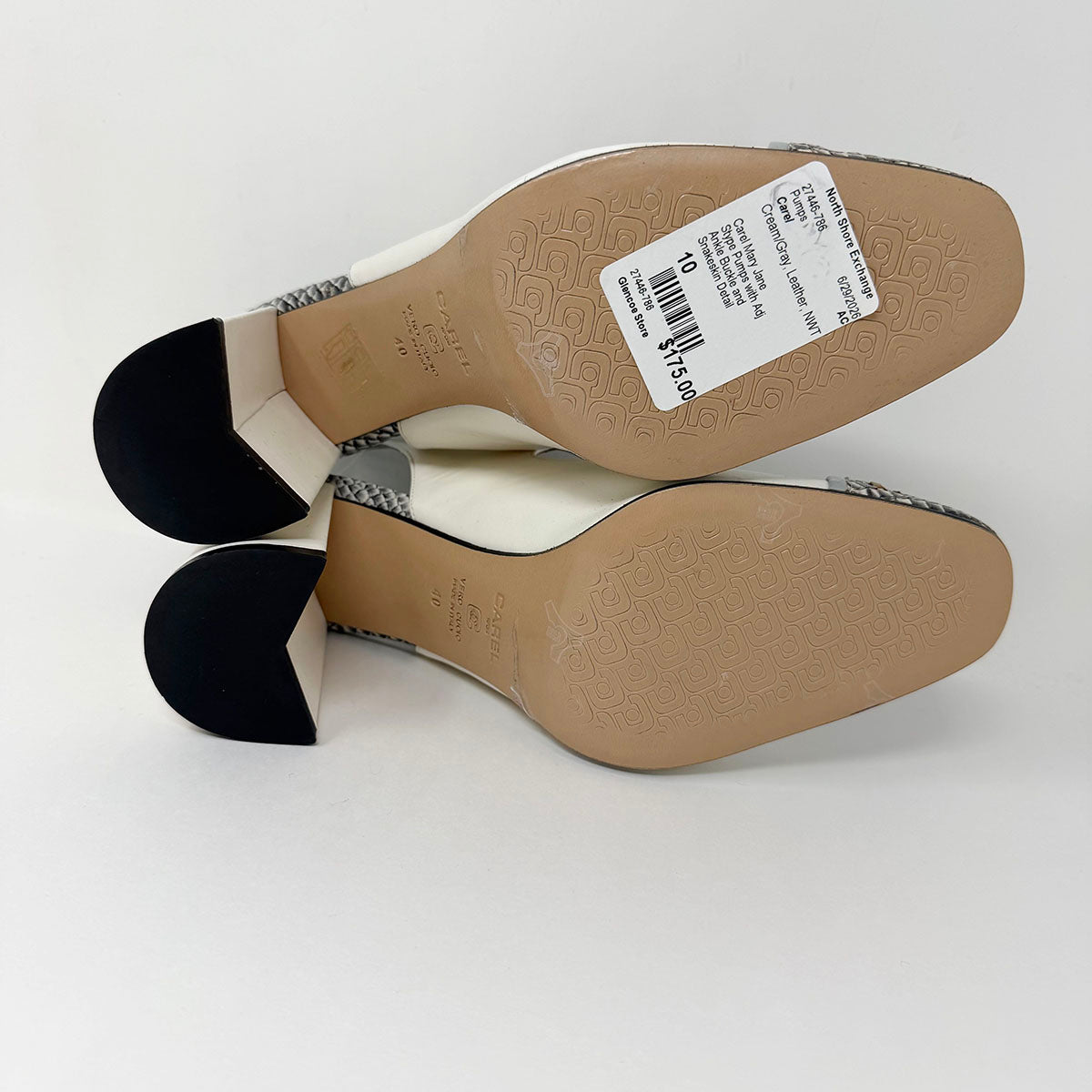 Carel Pumps