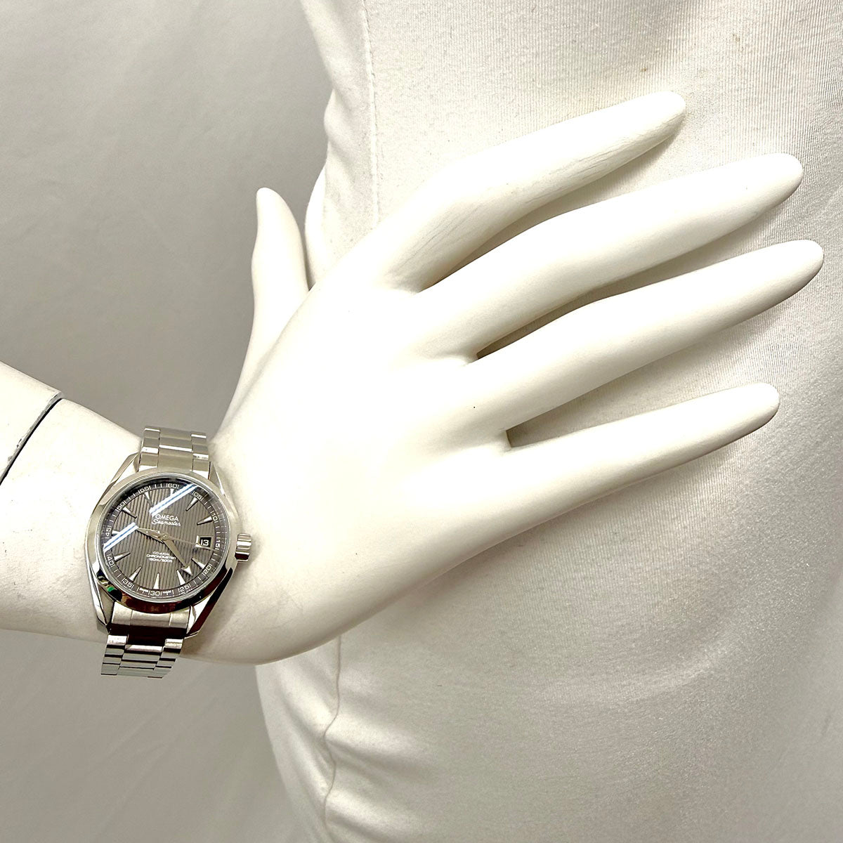 Omega Seamaster Aqua Terra Watch