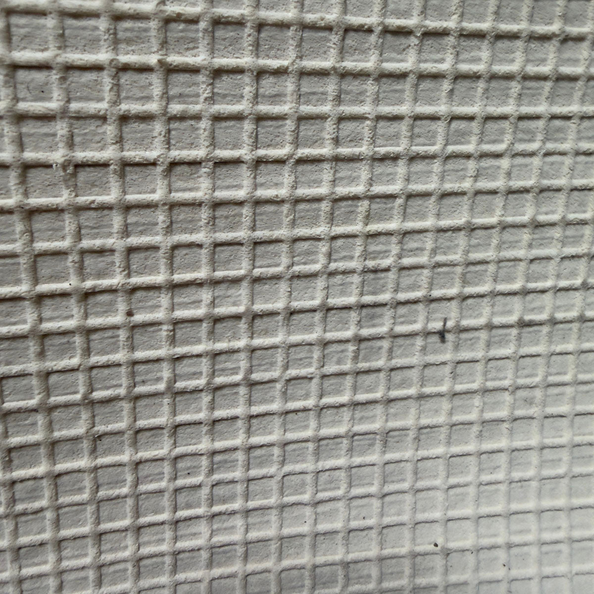 Green/Tan Area Rug