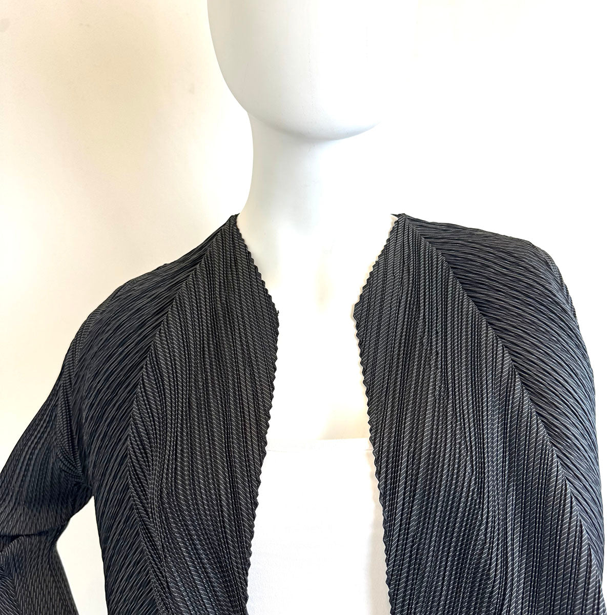 Issey Miyake Jacket