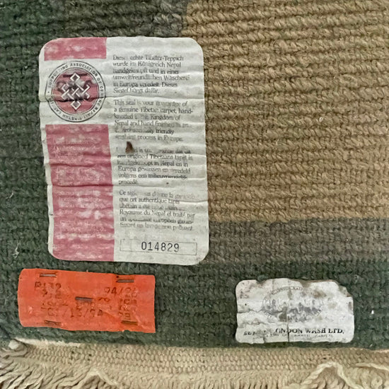 Sea Green & Brown Area Rug