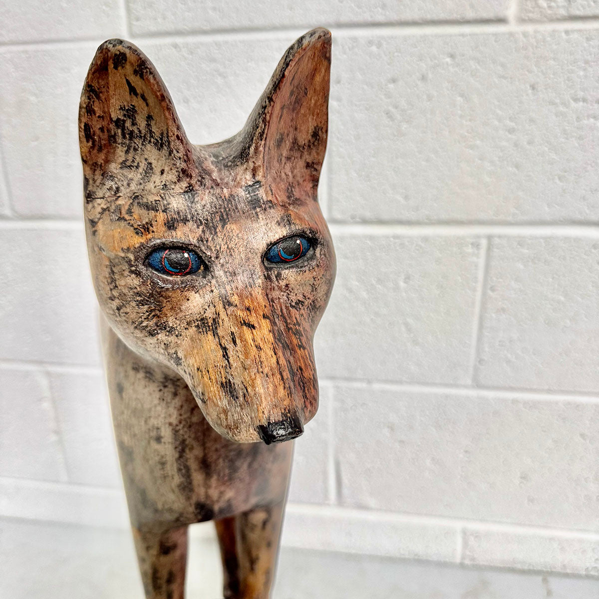 "Fox Balanced on a Ball"