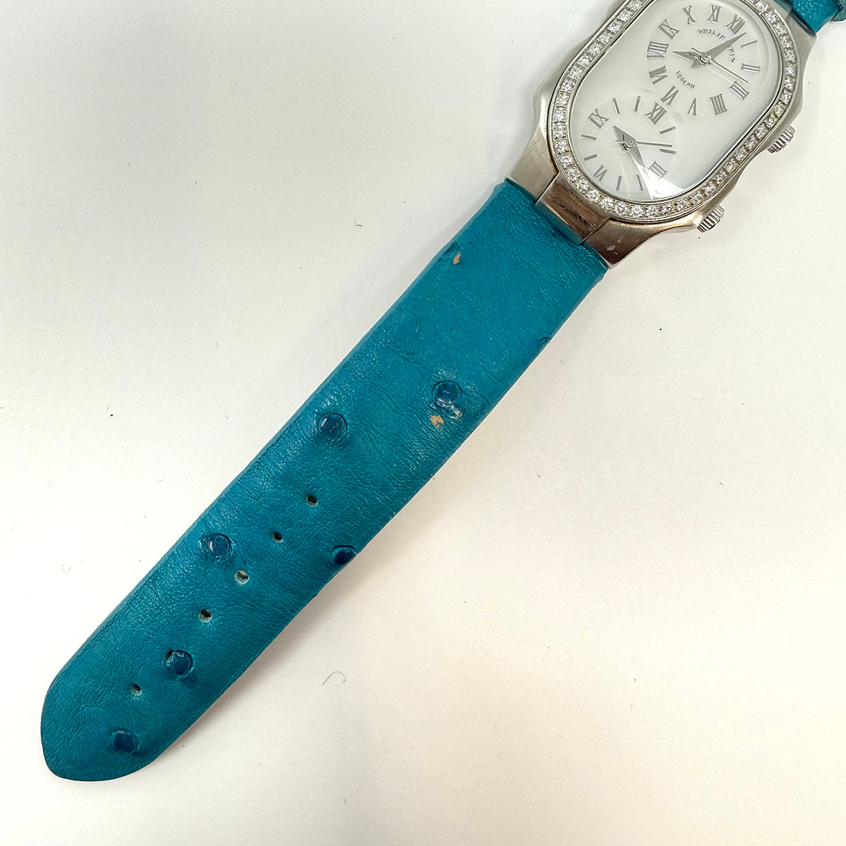 Philip Stein Watch