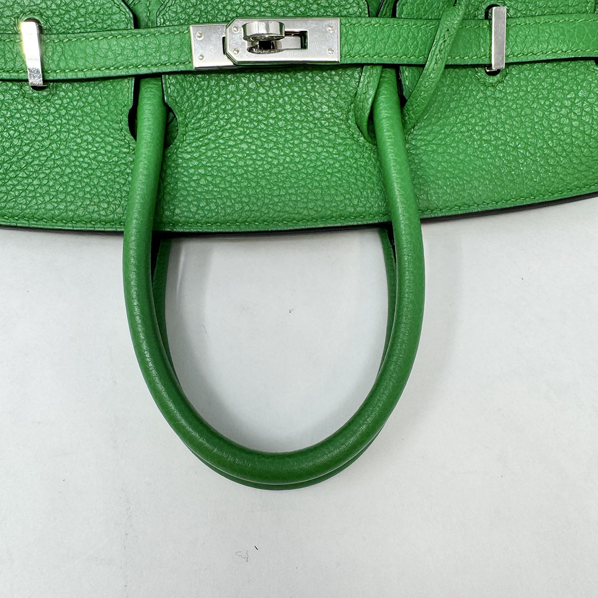 Hermes 2014 Clemence Birkin 25