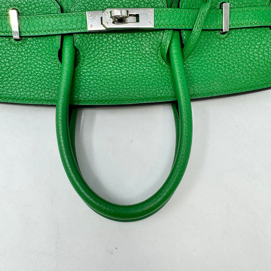 Hermes 2014 Clemence Birkin 25