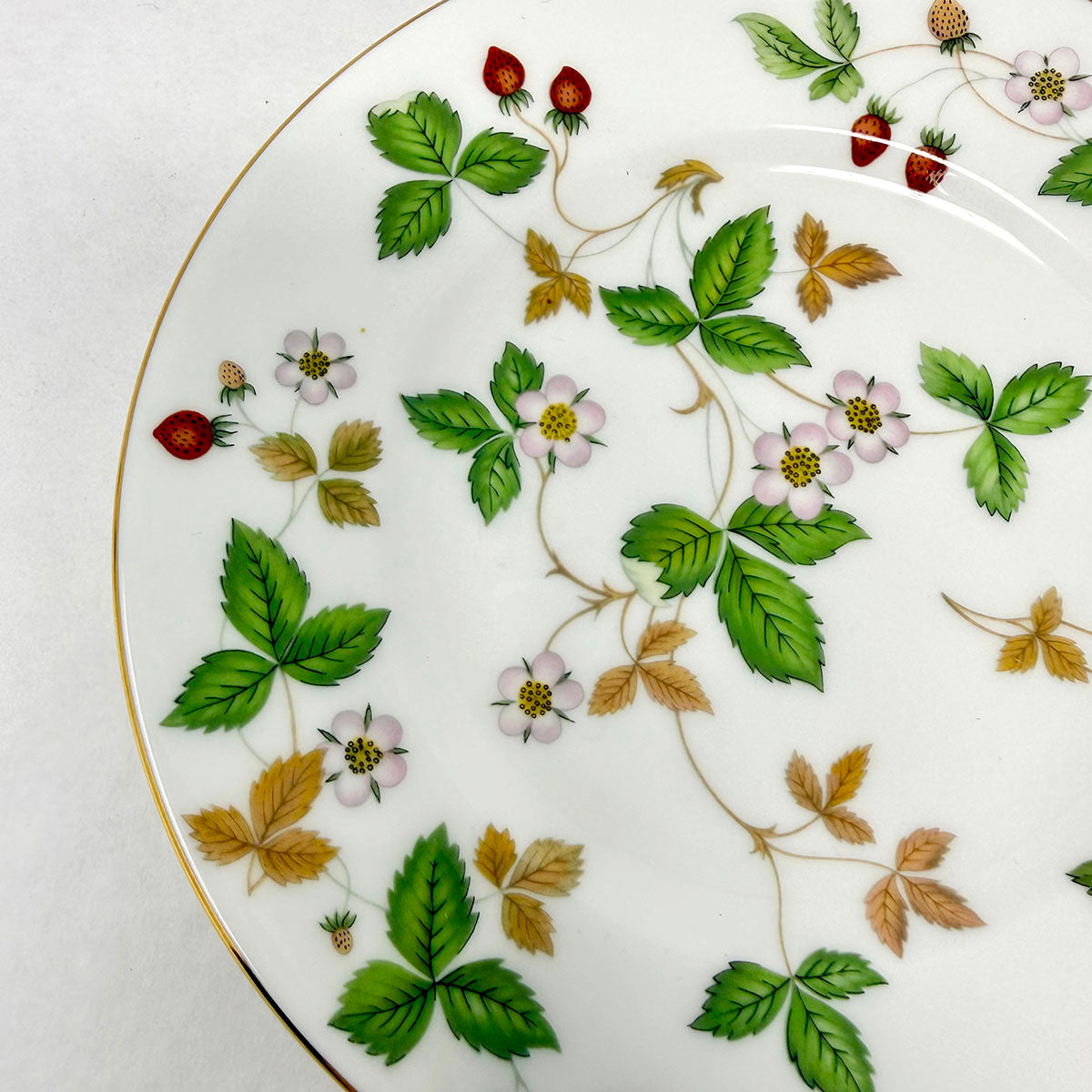 84 PC Wild Strawberry China