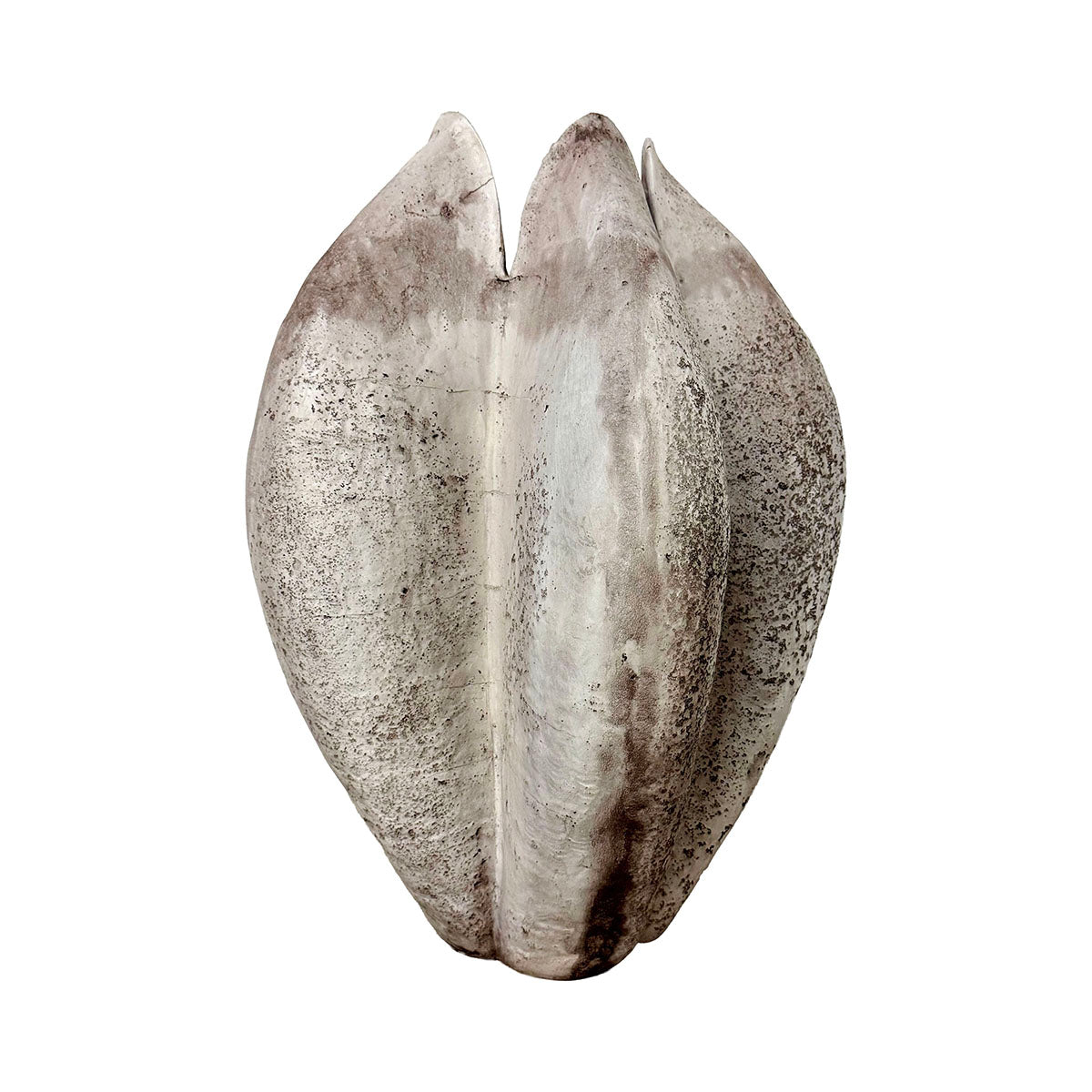 Large Organic Seed Pod Sculpture