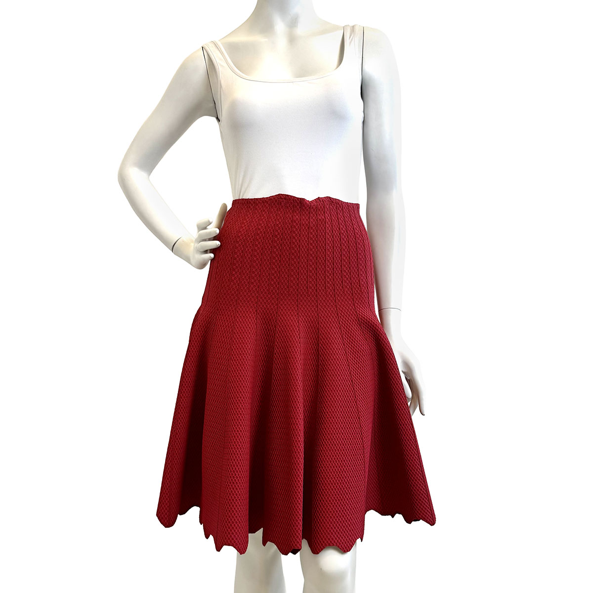 Alaia Skirt