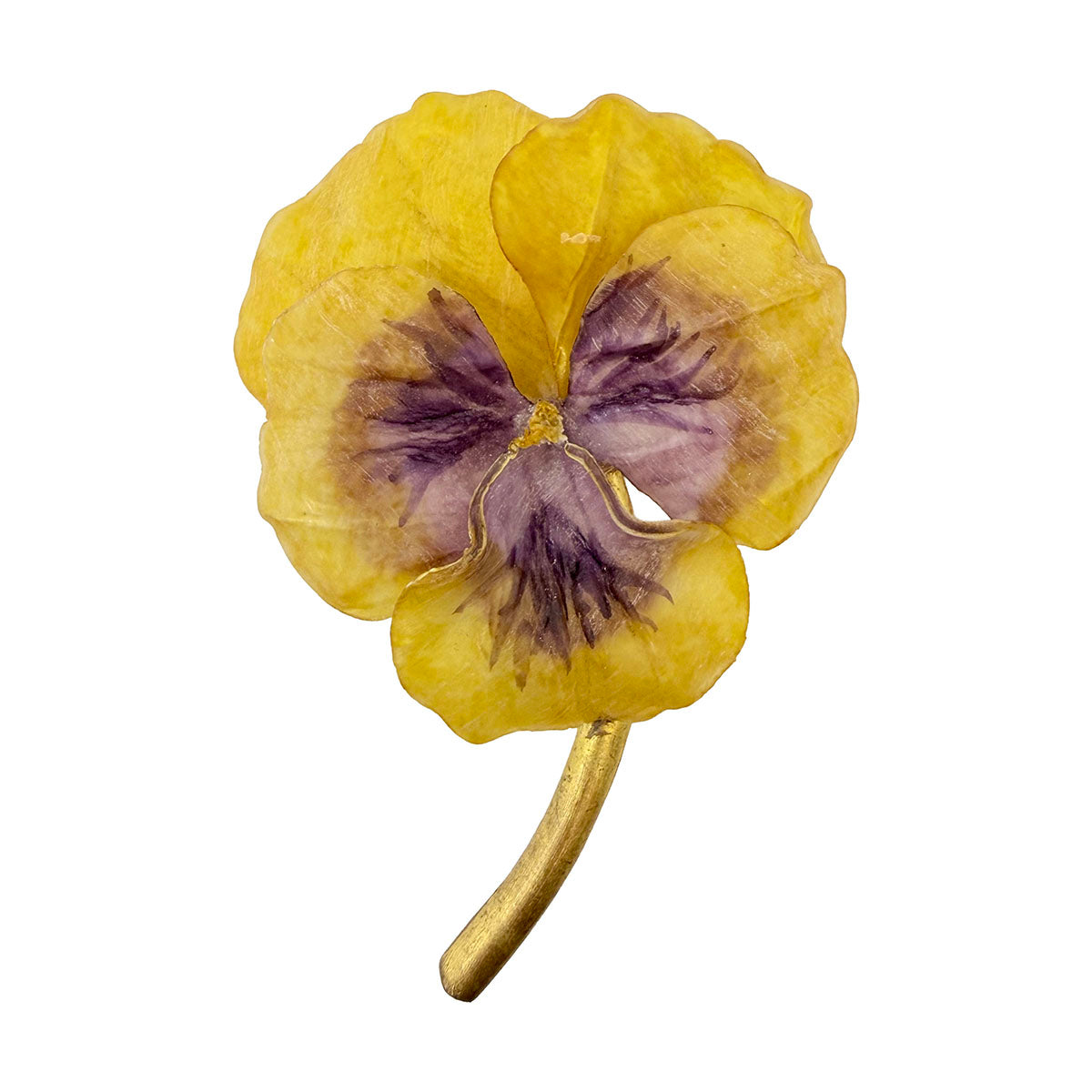 Fabrice Pin