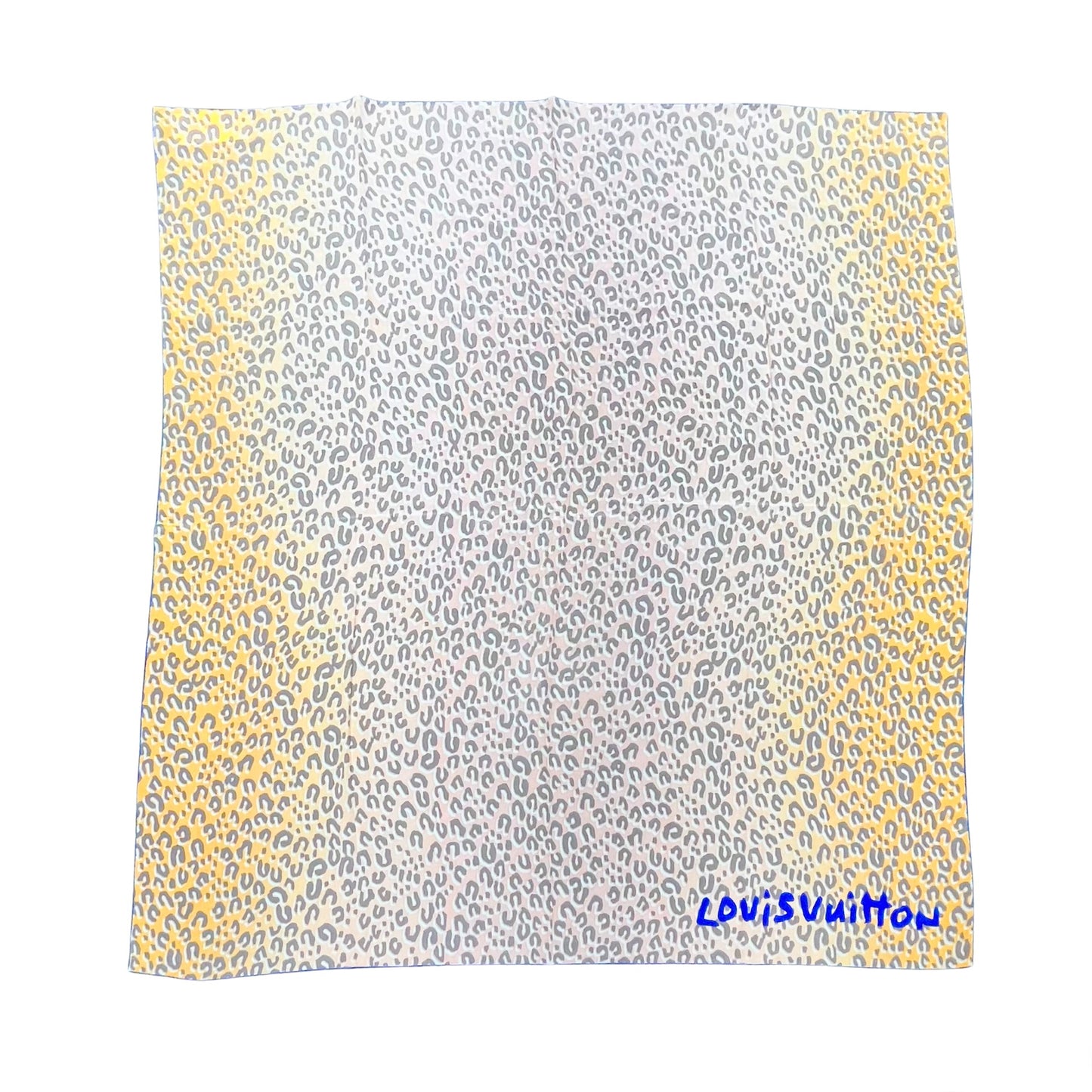 Louis Vuitton Scarf