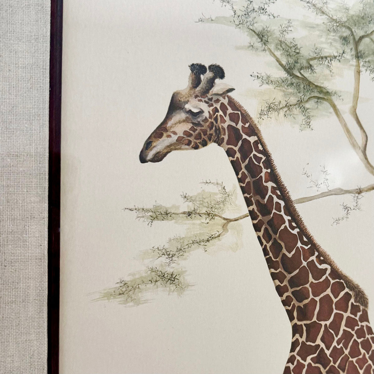 Limited Edition "Giraffe" Signed