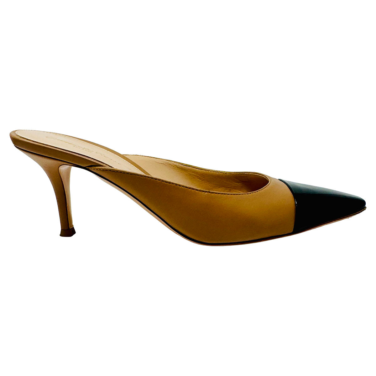 Gianvito Rossi Pumps