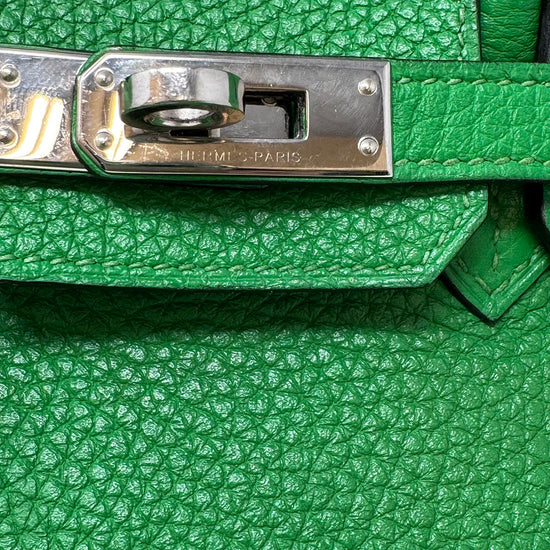 Hermes 2014 Clemence Birkin 25
