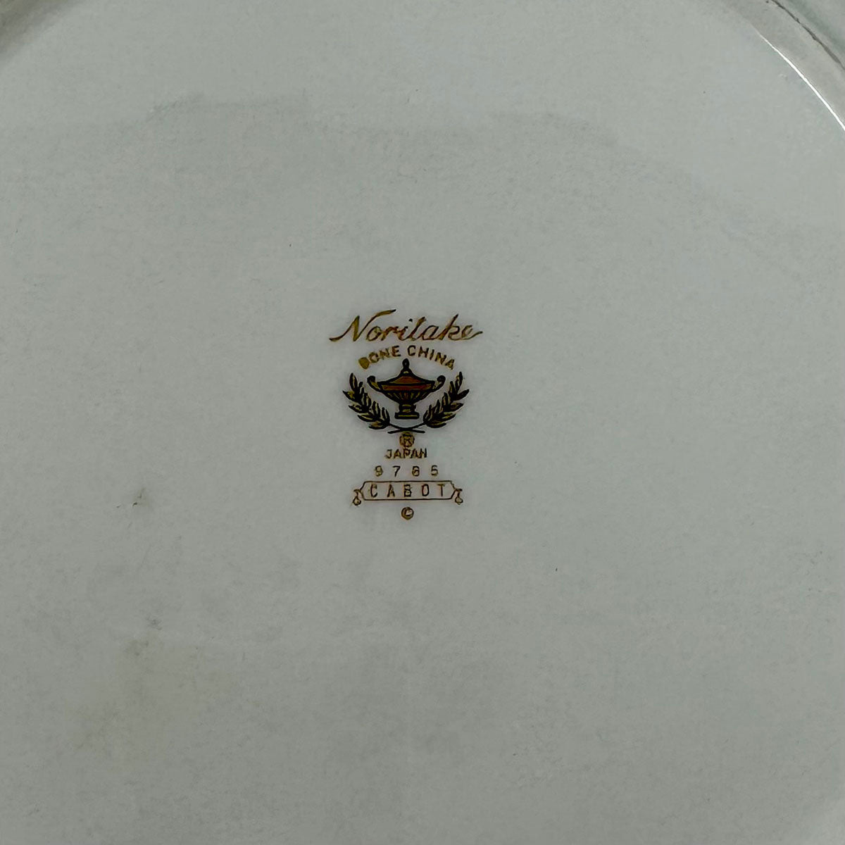 22 Pcs: 4 5 Pc Place Settings Cabot China with Salt and Pepper