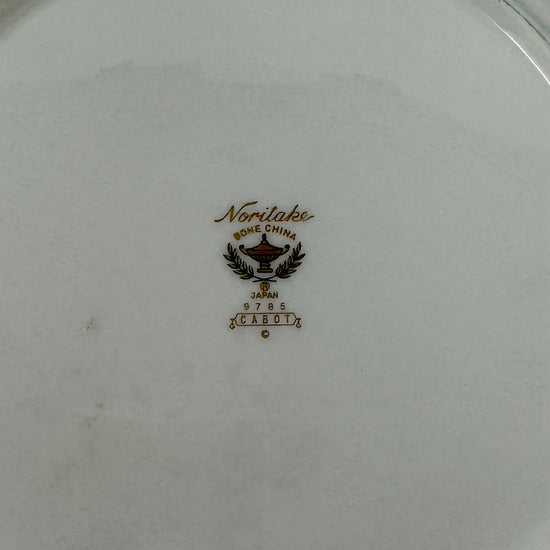 22 Pcs: 4 5 Pc Place Settings Cabot China with Salt and Pepper