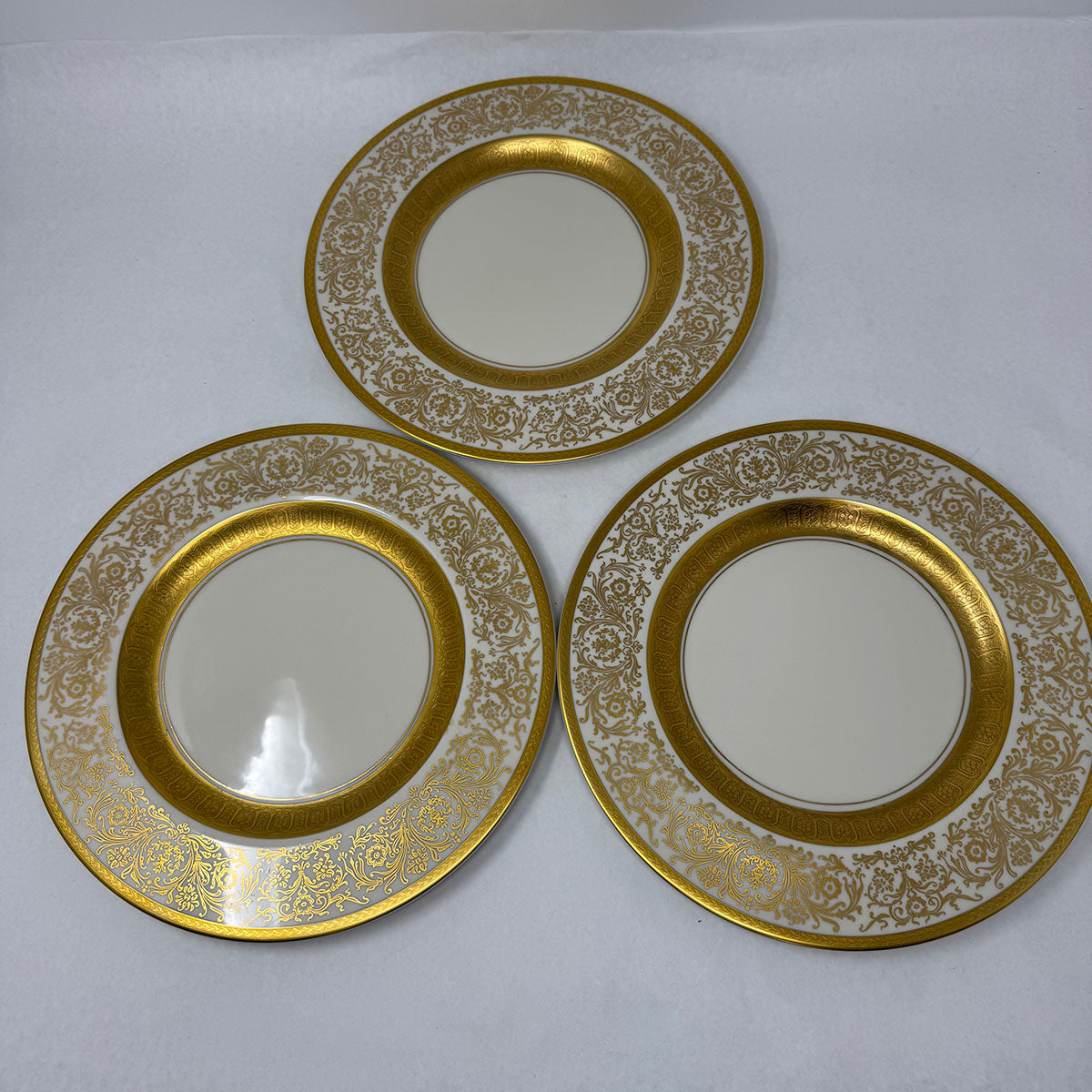 Set of 12 Dinner Plates