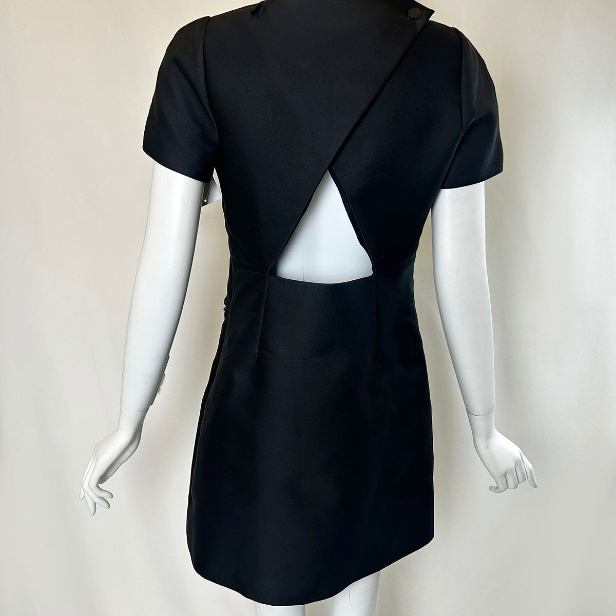 Victor and Rolf Dress