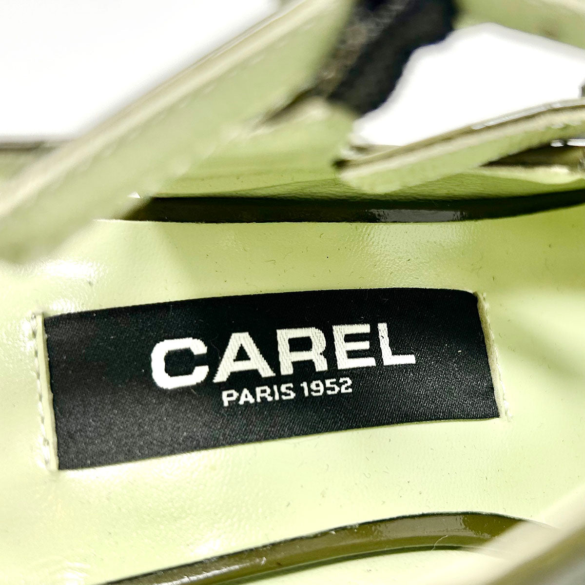 Carel Pumps