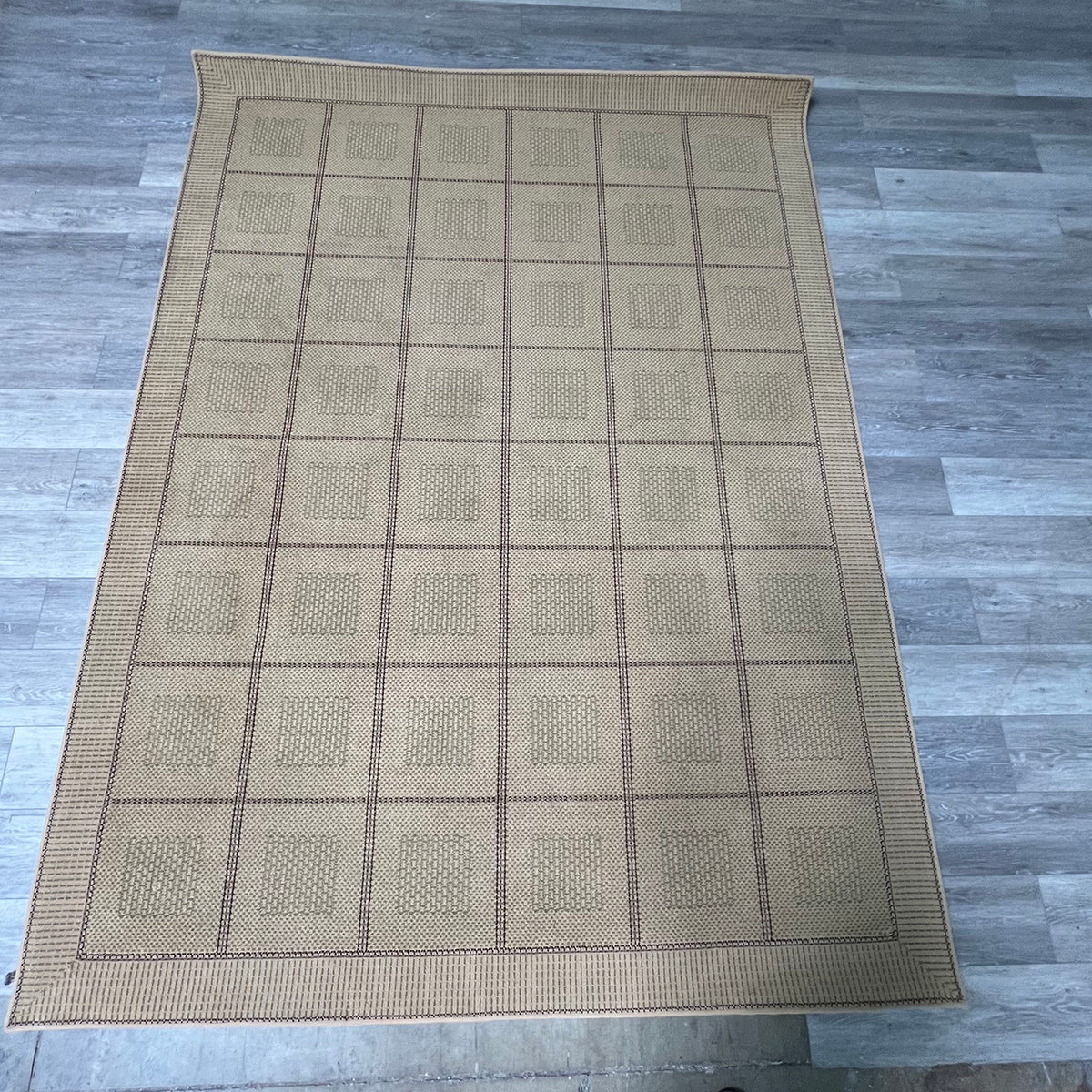 Tan Area Rug