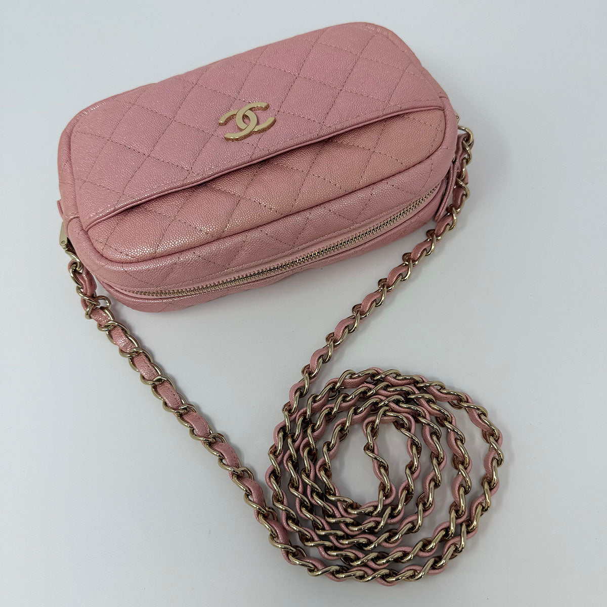 Chanel Iridescent Camera Bag