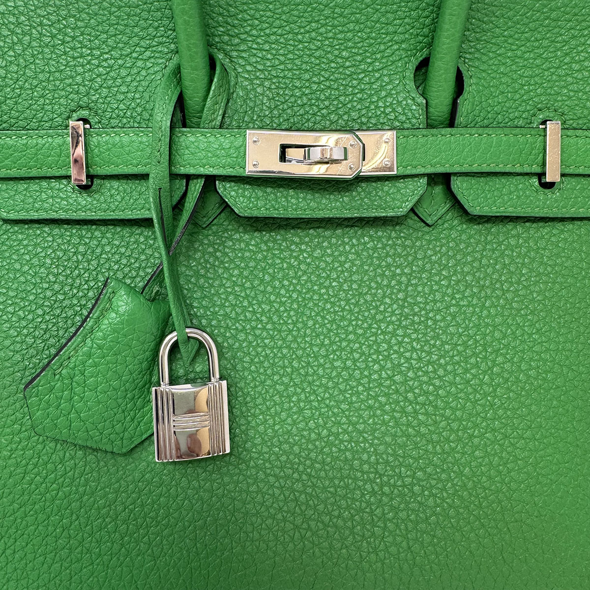Hermes 2014 Clemence Birkin 25