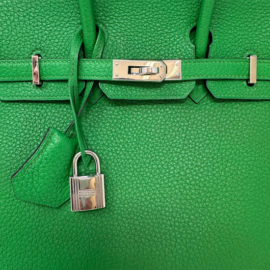 Hermes 2014 Clemence Birkin 25