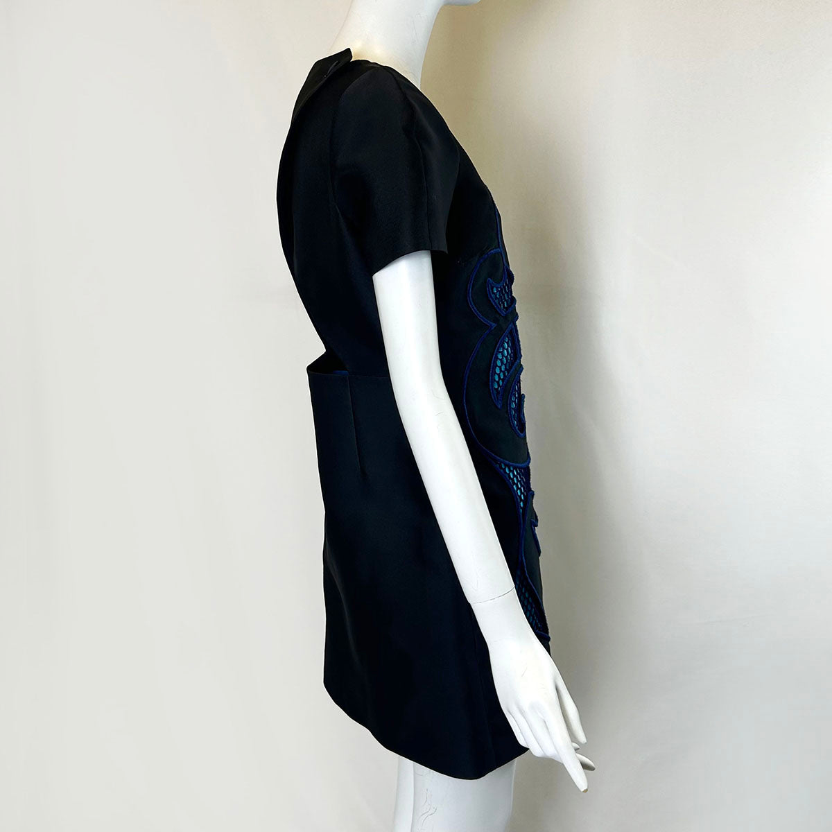 Victor and Rolf Dress