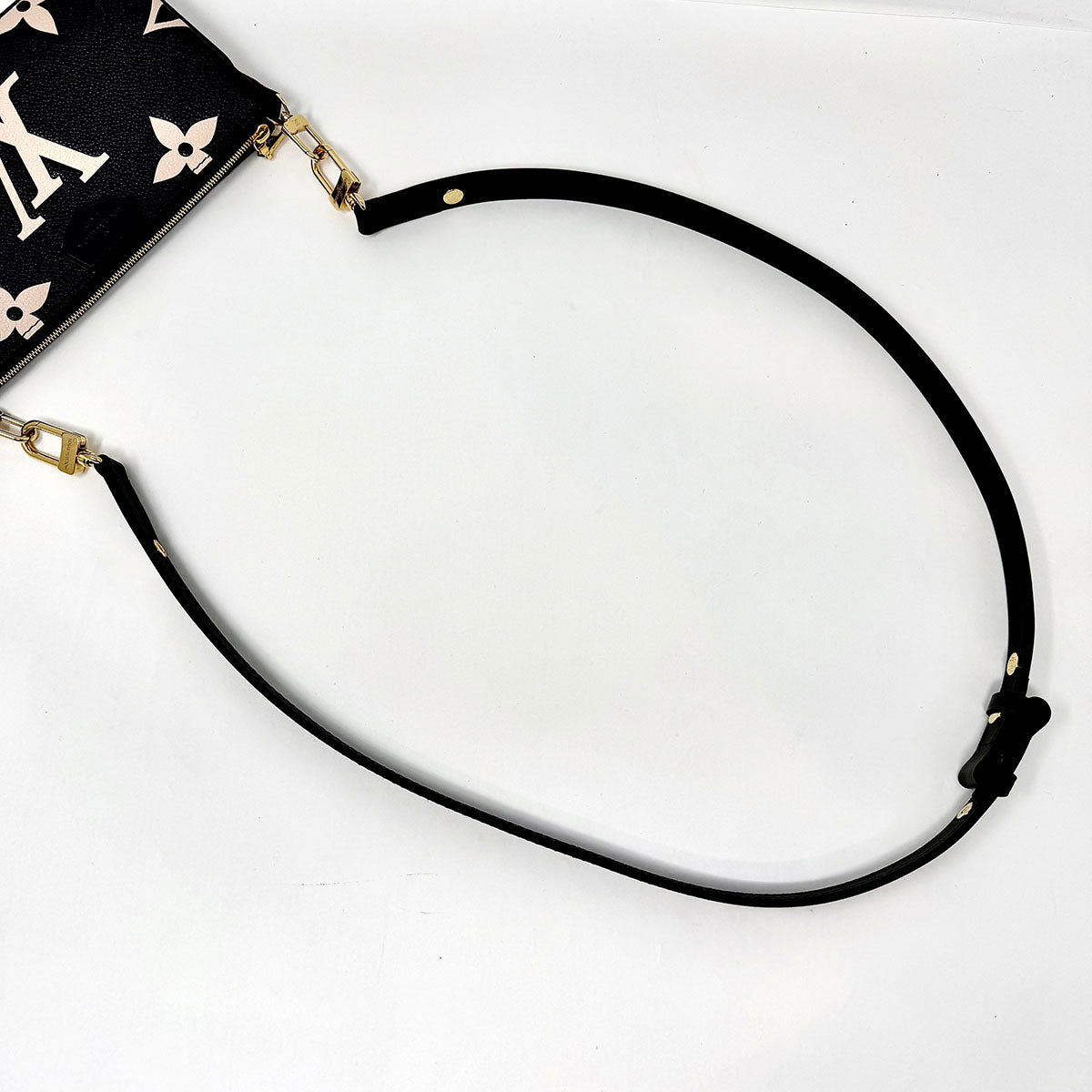 Louis Vuitton Empriente Giant Pochette