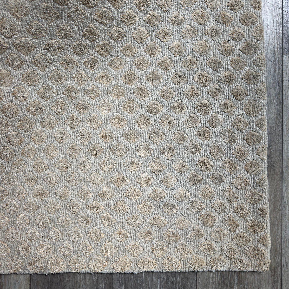 Tan Area Rug
