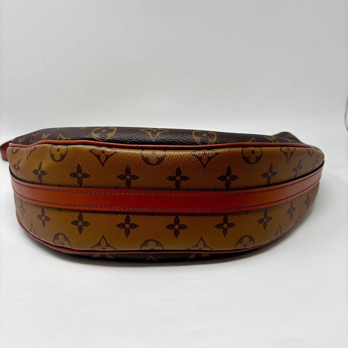 Louis Vuitton Monogram Loop Shoulder Bag
