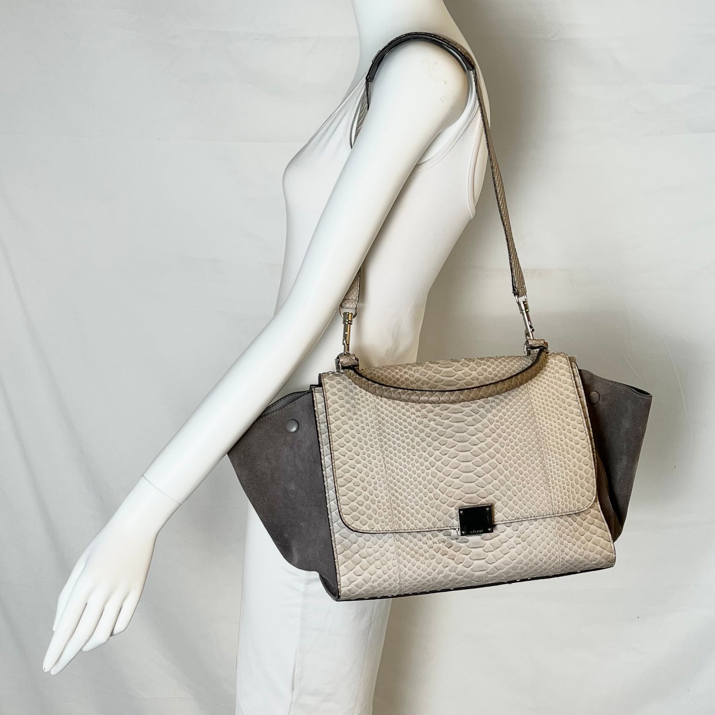Celine Python Trapeze Shoulder Bag
