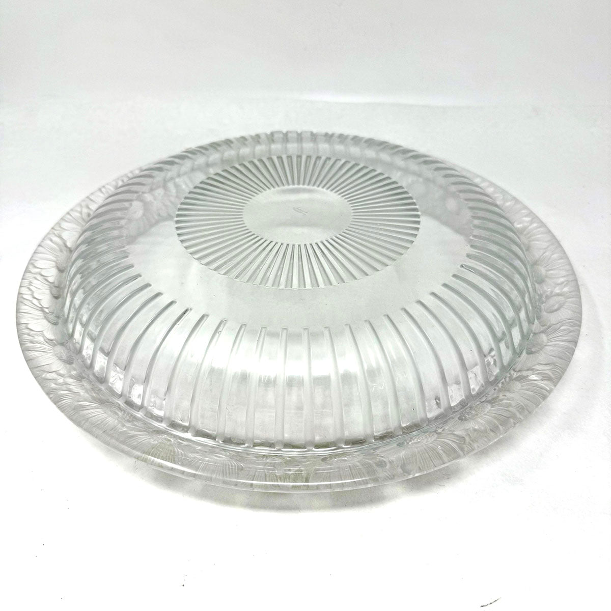 Marguerite Daisy Shallow Bowl