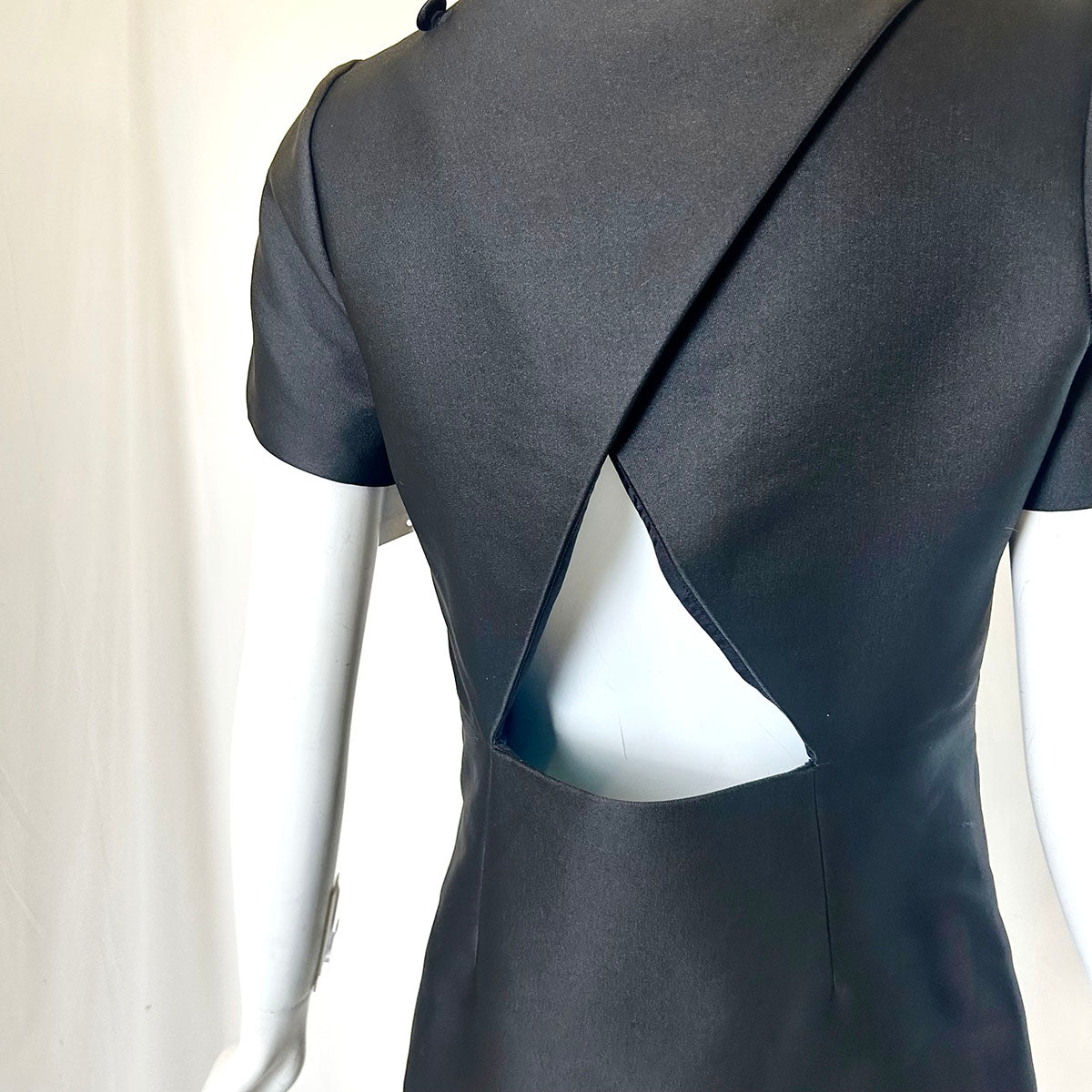 Victor and Rolf Dress