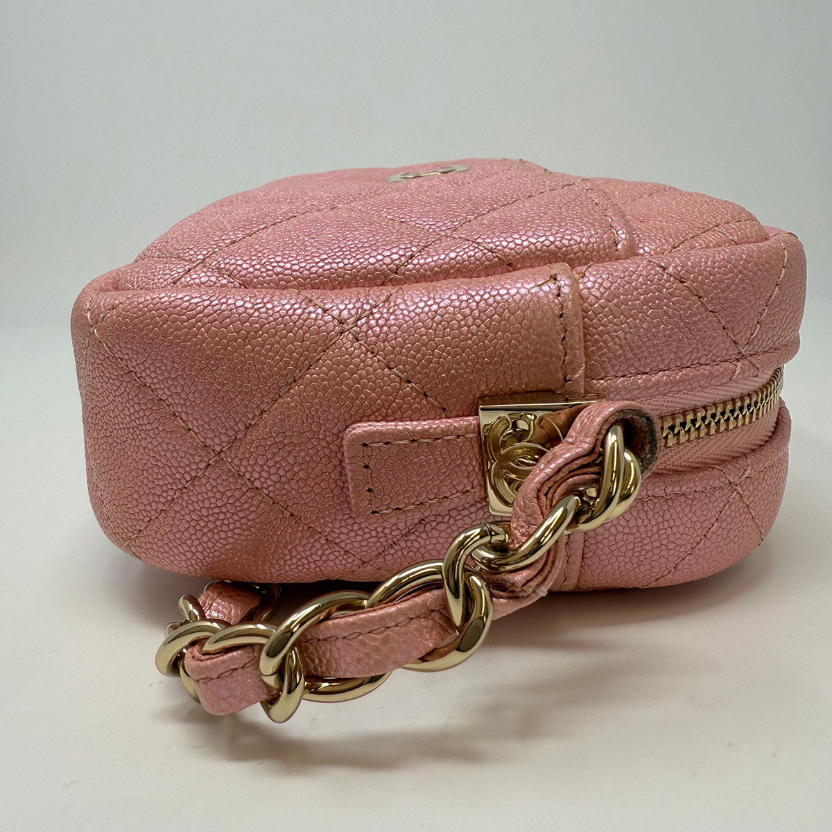 Chanel Iridescent Camera Bag