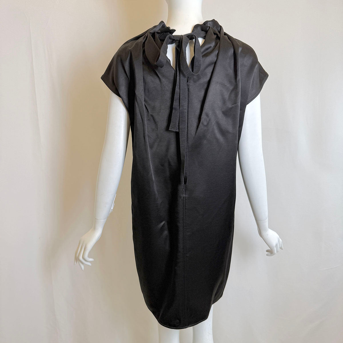 Lanvin Dress