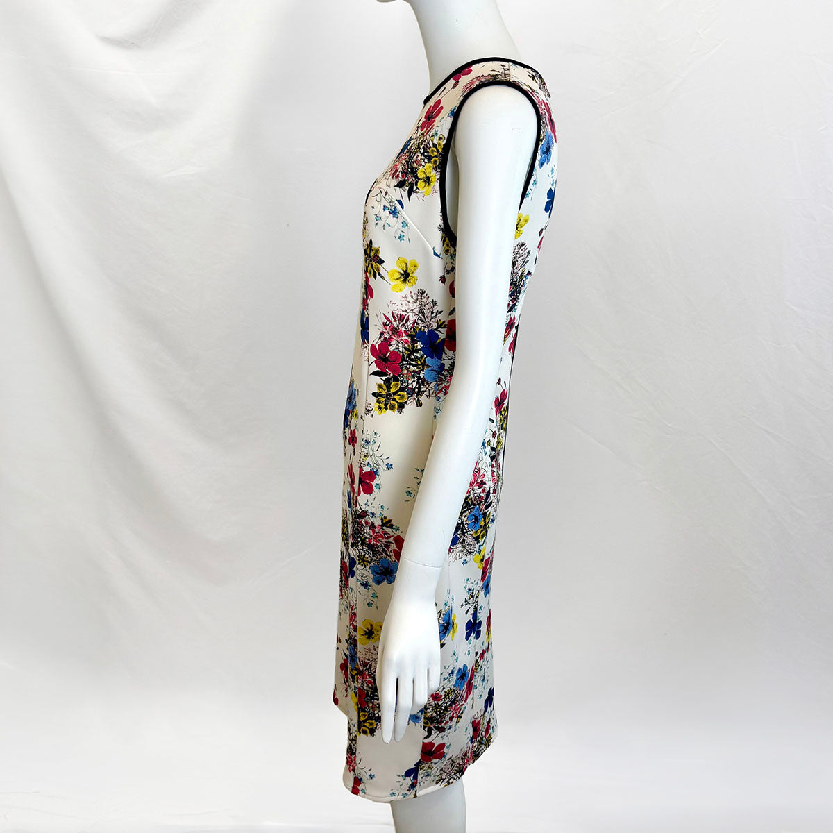 Erdem Dress