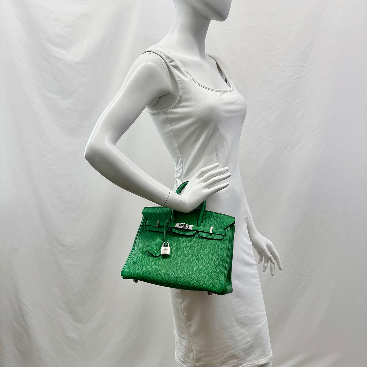 Hermes 2014 Clemence Birkin 25