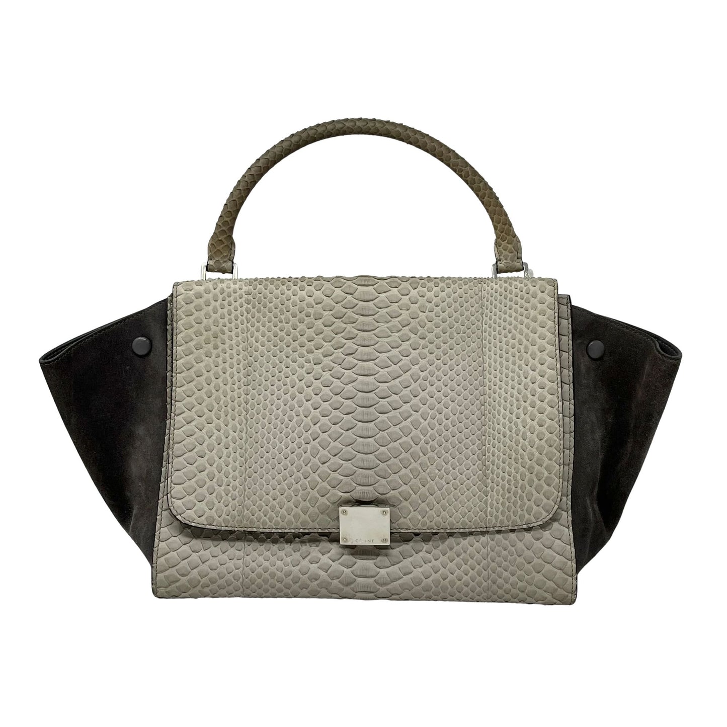 Celine Python Trapeze Shoulder Bag