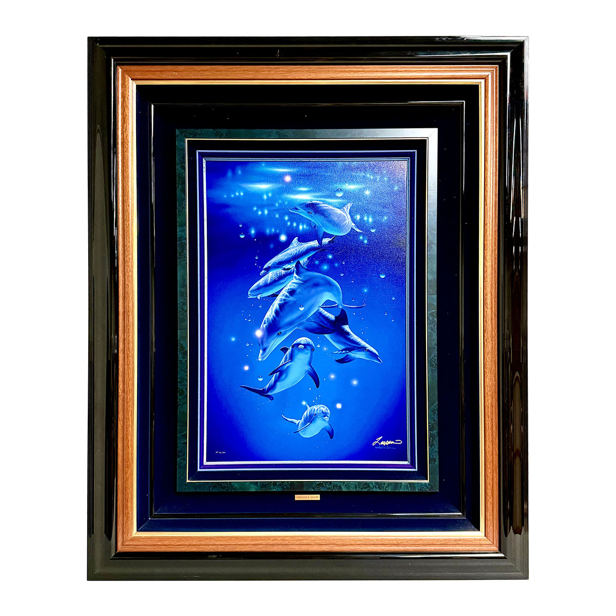 Framed Printed Canvas Dolphins  "Magical Moment"