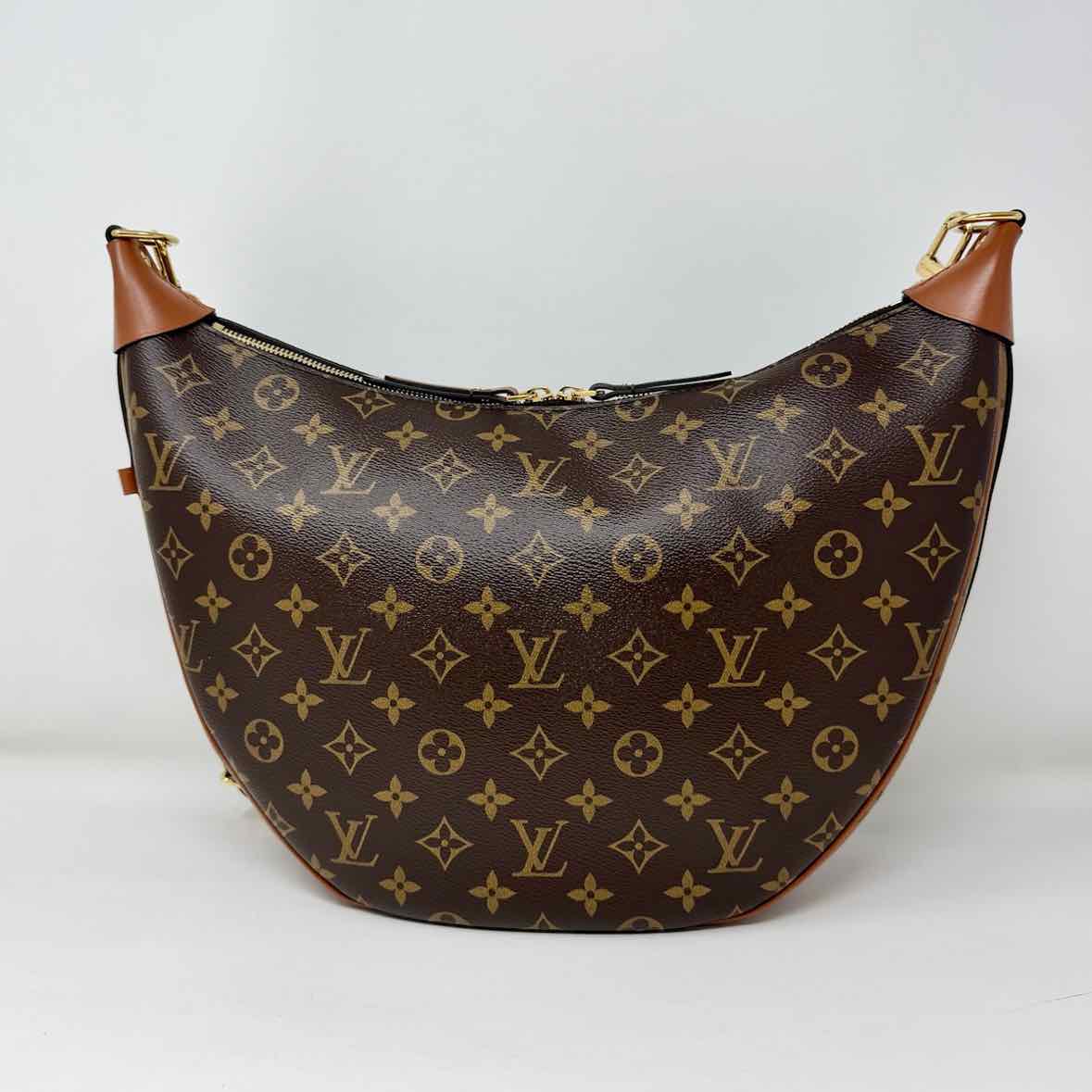Louis Vuitton Hobo