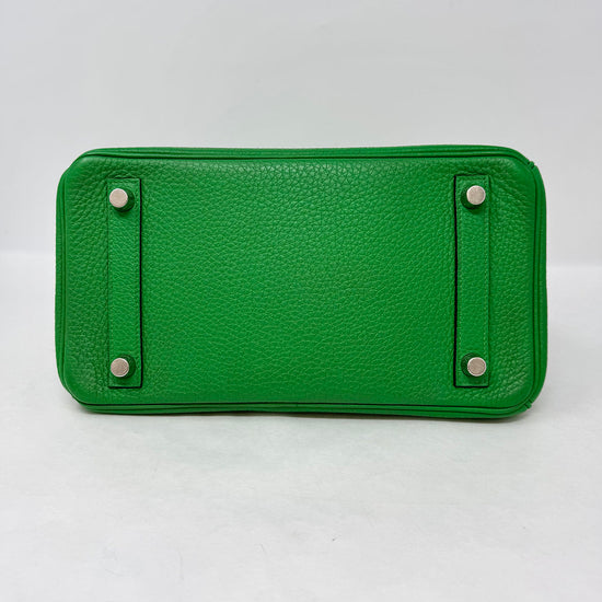 Hermes 2014 Clemence Birkin 25
