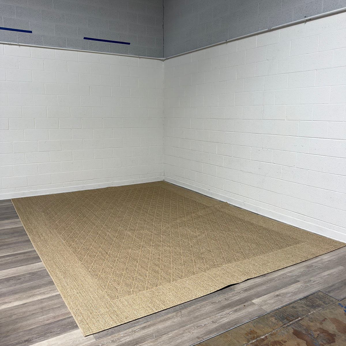 Green/Tan Area Rug