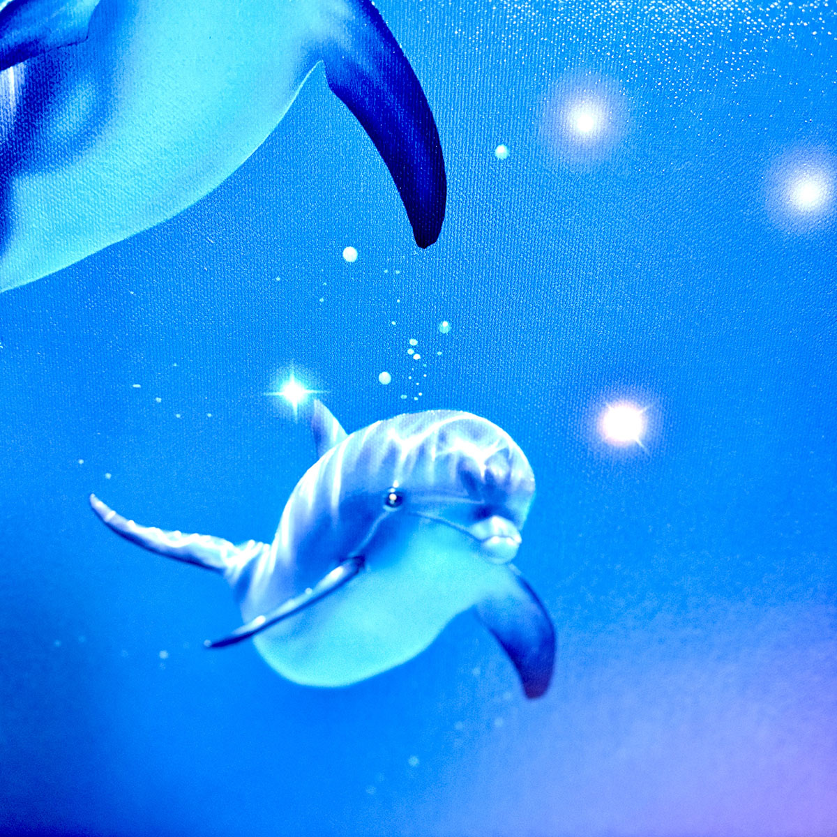 Framed Printed Canvas Dolphins  "Magical Moment"