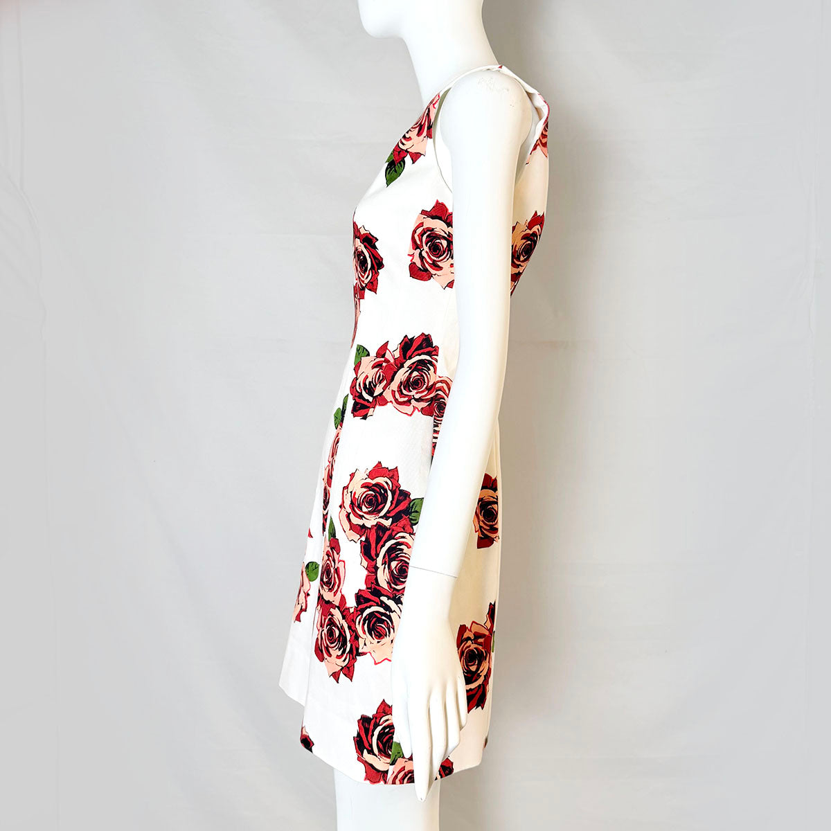 Adam Lippes Dress