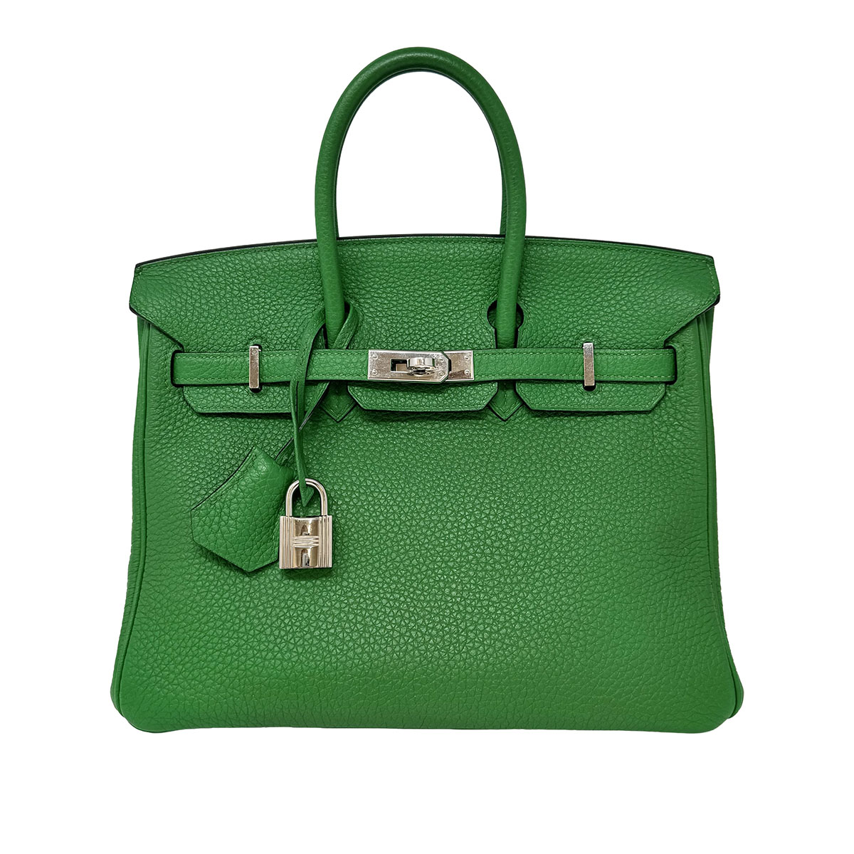 Hermes 2014 Clemence Birkin 25