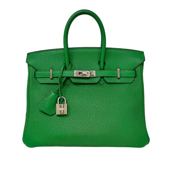 Hermes 2014 Clemence Birkin 25